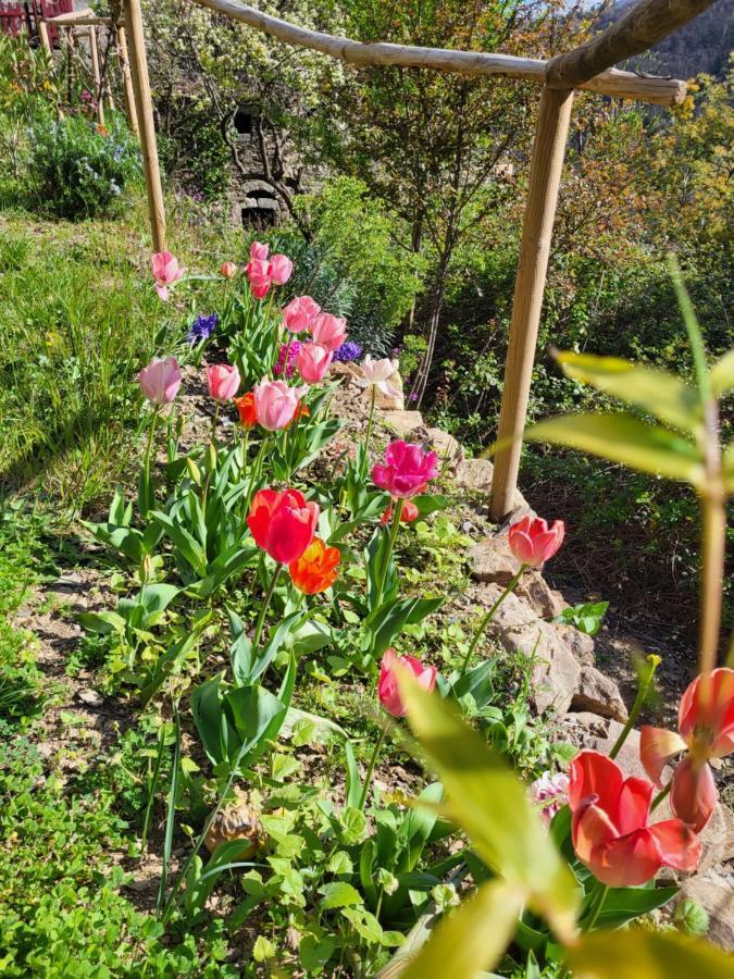 Gites Chez Daniel "Cevennes 1" Mars  Luaran gambar